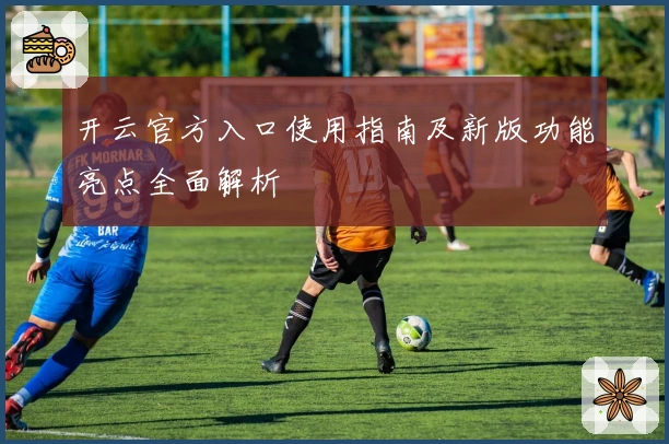 开云官方入口使用指南及新版功能亮点全面解析