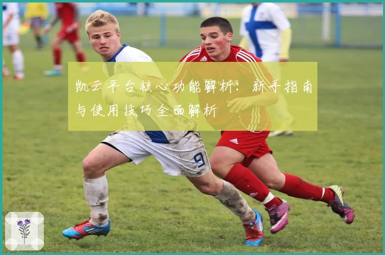 凯云平台核心功能解析：新手指南与使用技巧全面解析